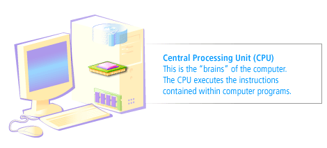 CPU: This is the brains of the computer. The CPU executes the instructions contained with the computer programs