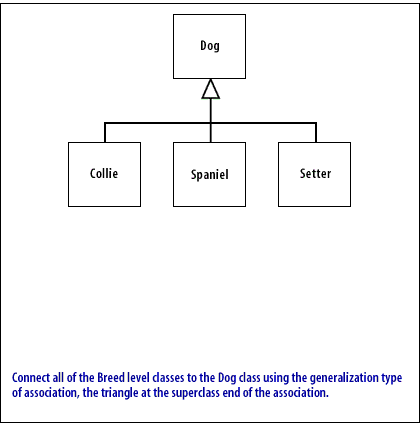 Connect all of the Breed level classes to the Dog class using the generalization type of association, the triangle at the superclass end of the association.